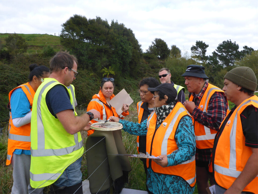 cultural-health-blog