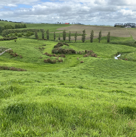 Lifecare’s Paerata Road lifestyle village Results Image