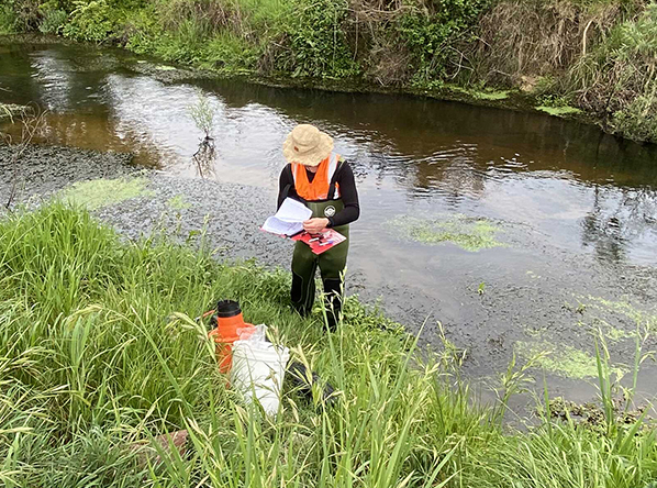 Solving waste water discharge project with Open Country Dairy Feature Image