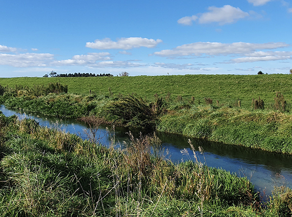 Western Bay of Plenty compliance monitoring project feature image