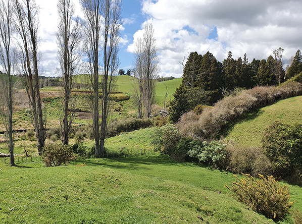 Housing Development in the Bay of Plenty Feature Image
