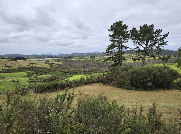 How Top Energy is making Northland self-sufficient - Feature