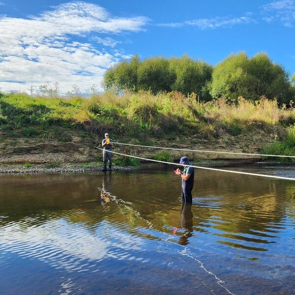 Flow Assessments